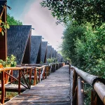 Destinasi Wisata Jakarta Utara dengan Pemandangan Luar Biasa Wisata Alam Mangrove Muara Angke