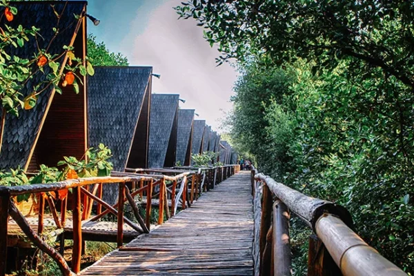 Destinasi Wisata Jakarta Utara dengan Pemandangan Luar Biasa Wisata Alam Mangrove Muara Angke