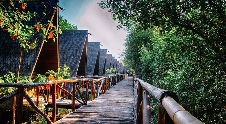 Destinasi Wisata Jakarta Utara dengan Pemandangan Luar Biasa Wisata Alam Mangrove Muara Angke